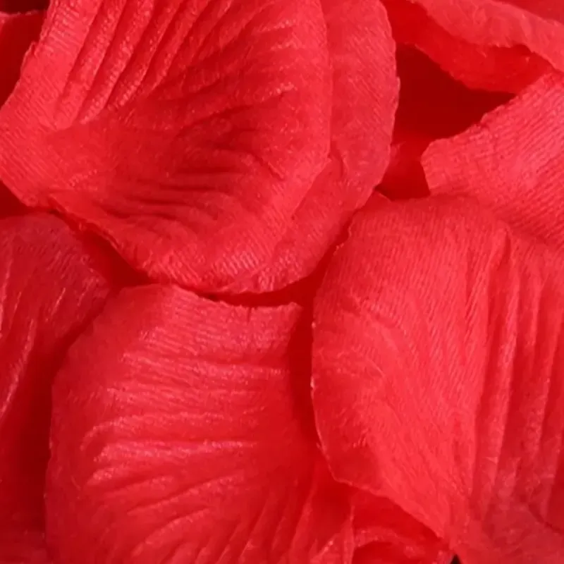 Petalos de rosa rojos