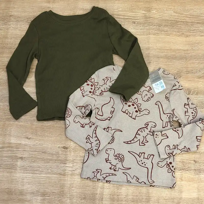 Pack de 2 enguatadas con dinosaurios