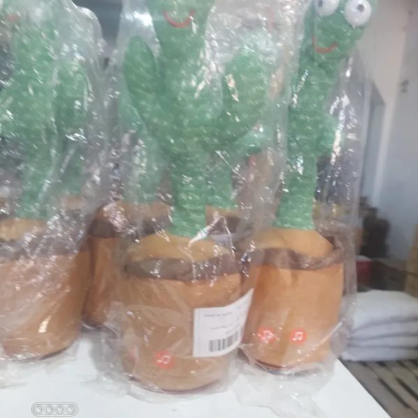 Cactus bailador