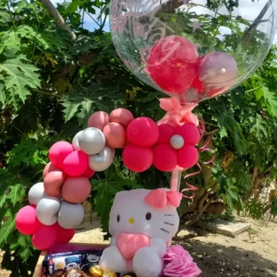 Cajitas sorpresa(peluche y color varía)