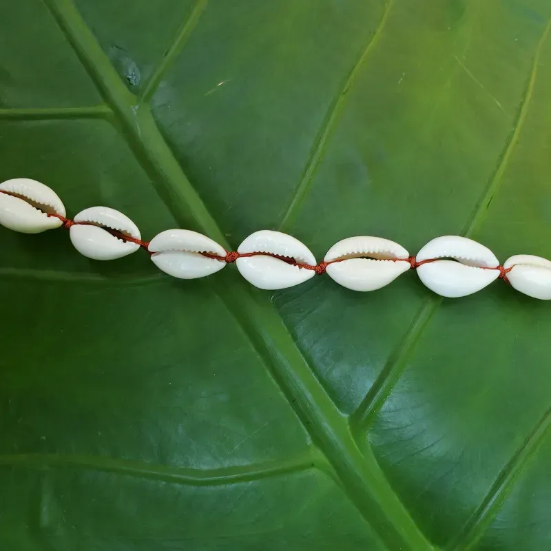 Collar de cauris