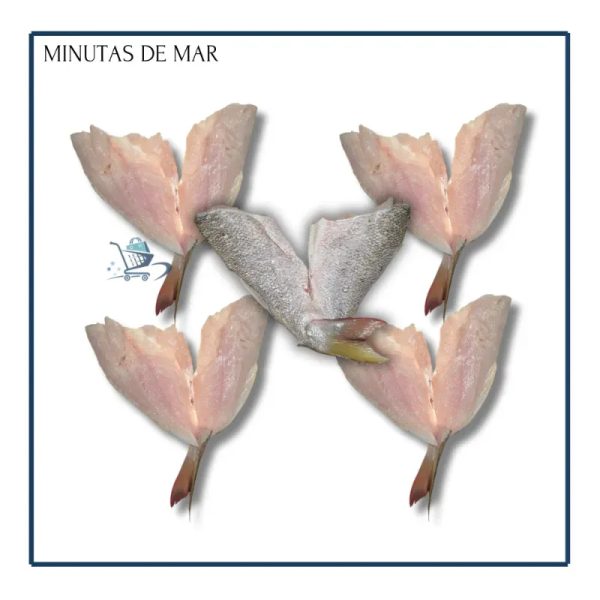 Minuta de Mar Grande (5u)