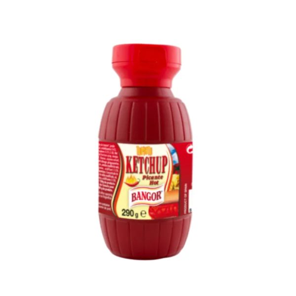 Ketchup