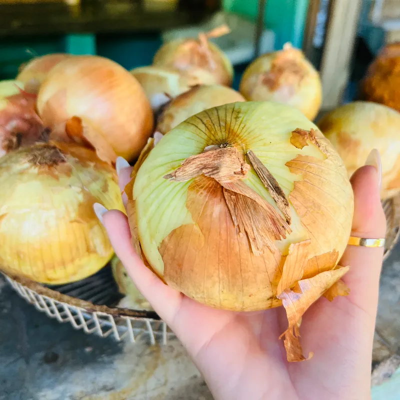 Cebolla  importada 1 libra