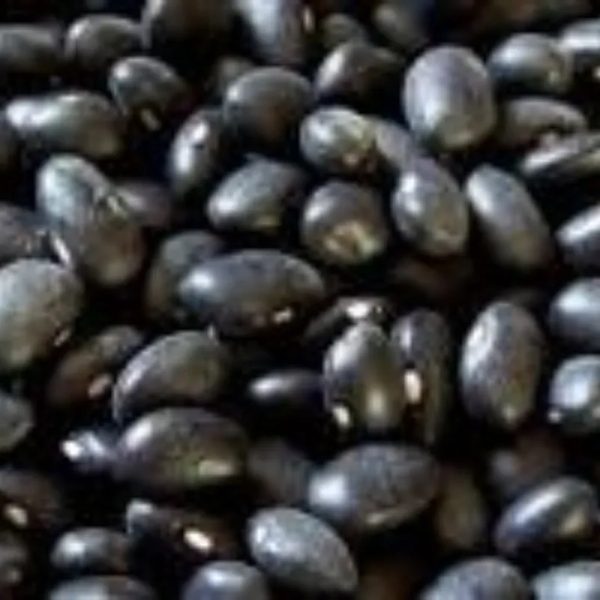 Frijoles negro