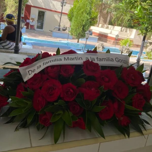 Cojín de rosas