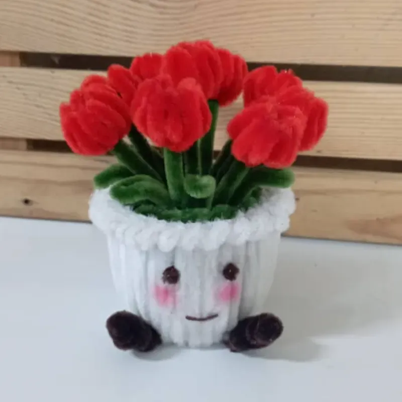 Maceta tulipanes con carita