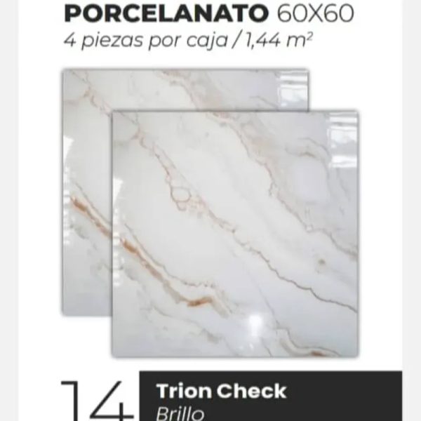 Losas Porcelanato Brillo Trion Check