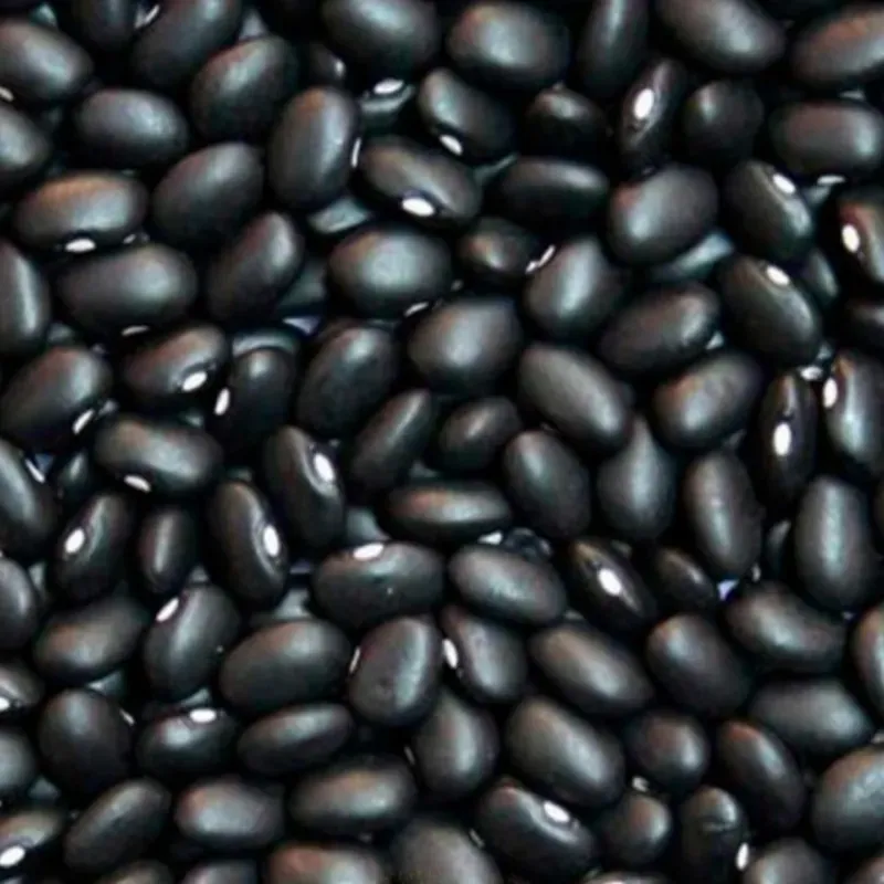 Frijoles negros 2 Libras