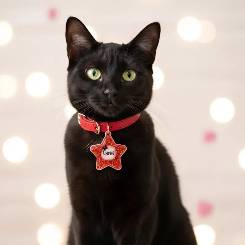 Estrella personalizada para mascotas