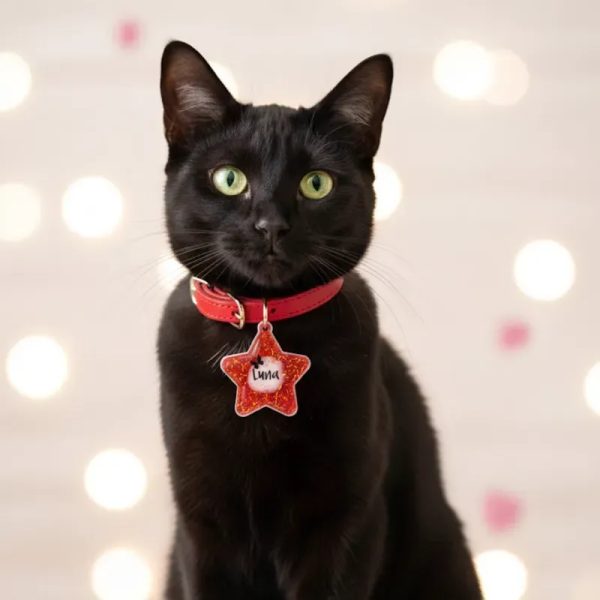 Estrella personalizada para mascotas