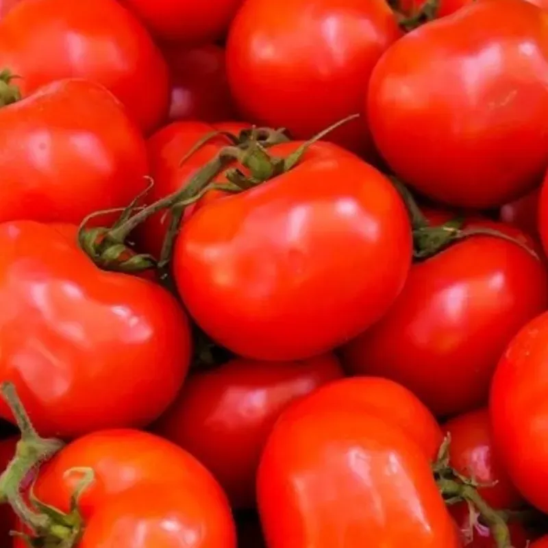 Tomate