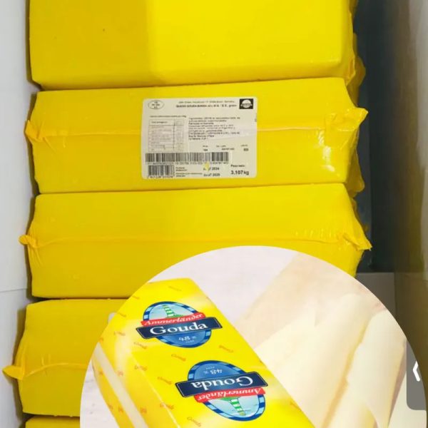 Queso Gouda
