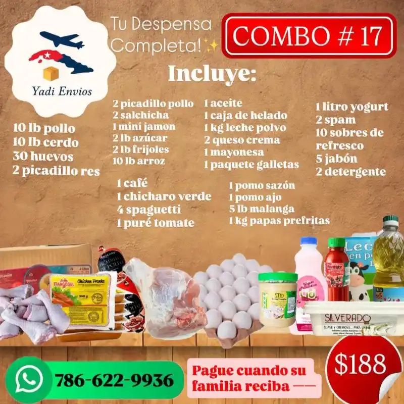 Combo de Alimentos 17