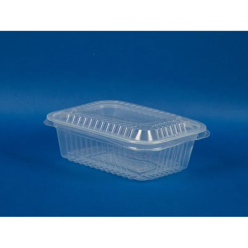 Envase pequeño plástico