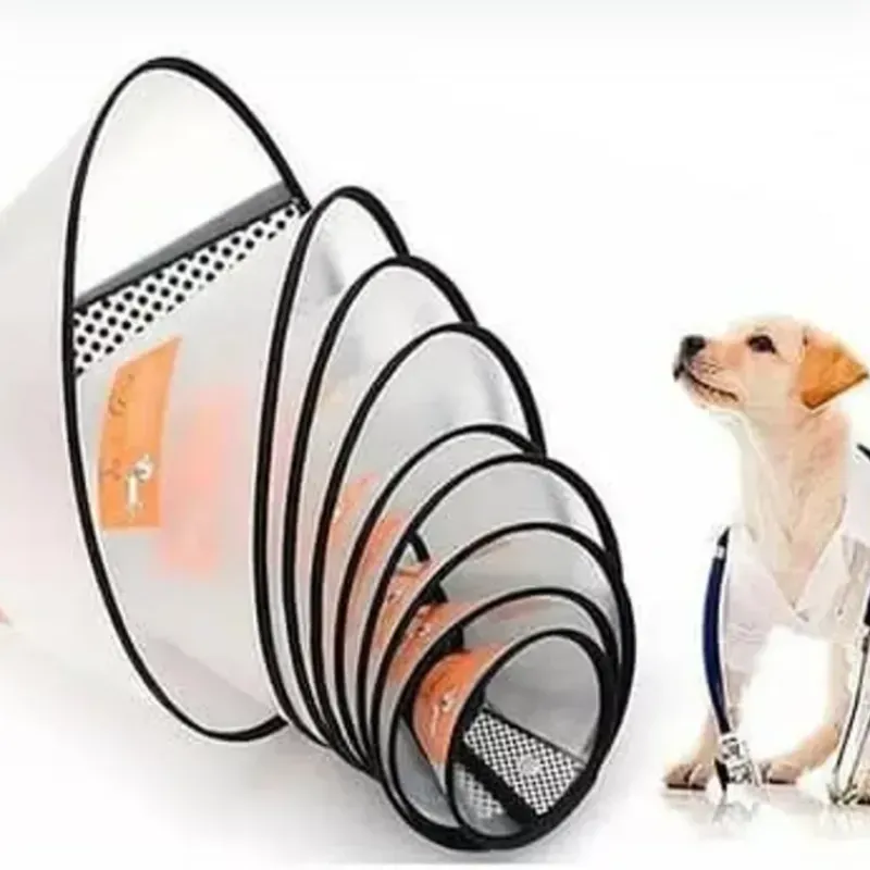 TALLA 3 (33-36 CM) COLLAR ISABELINO