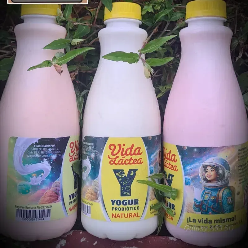 Yogurt probiótico vida láctea