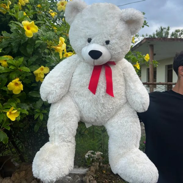 Peluche oso Plus