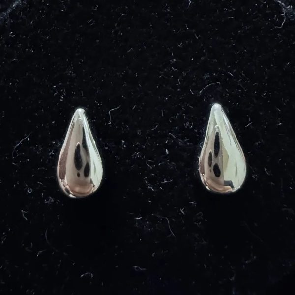 Aretes 301