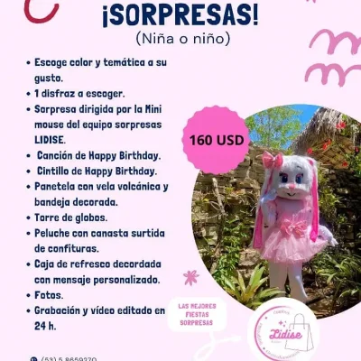 Sorpresa ⭐⭐ (Niño o Niña)