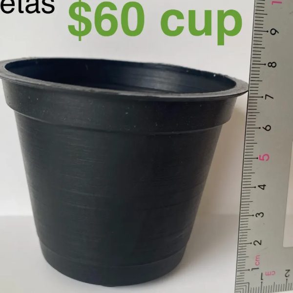 Macetas