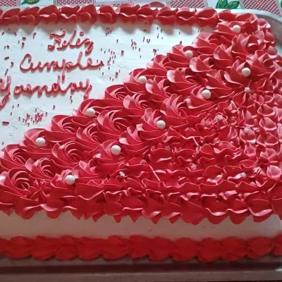 Pastel de Leche Condensada en Bandeja