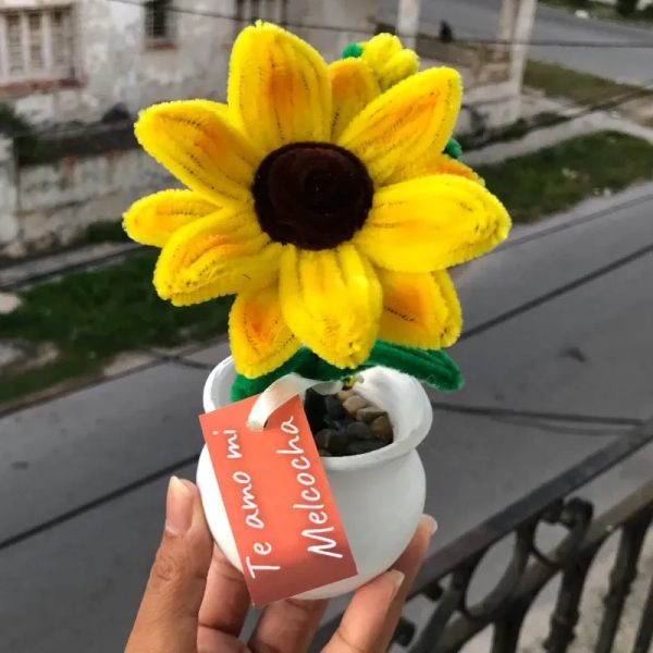 Florece Girasol