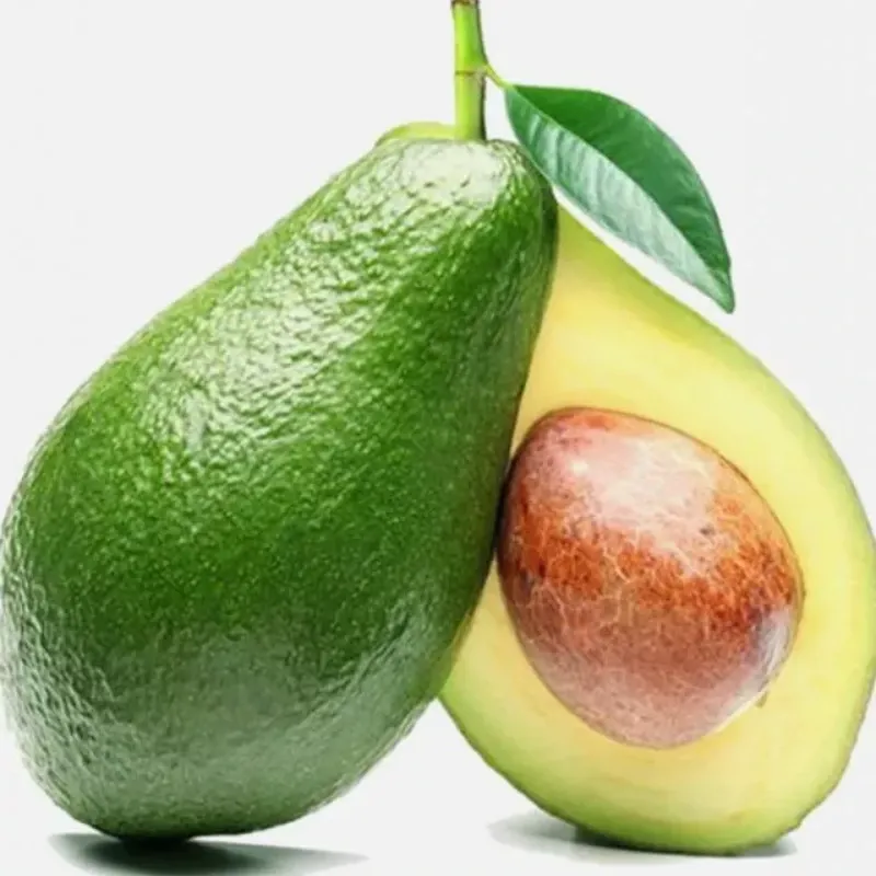 AGUACATE