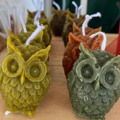 Búho 