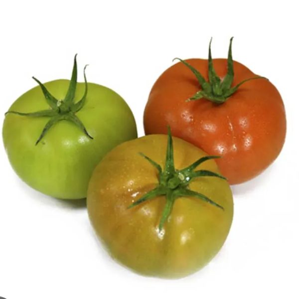 Tomate