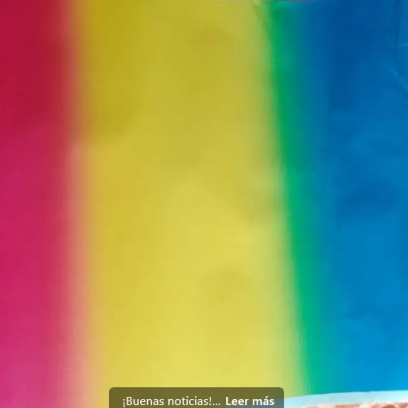 Forro para libretas y libros