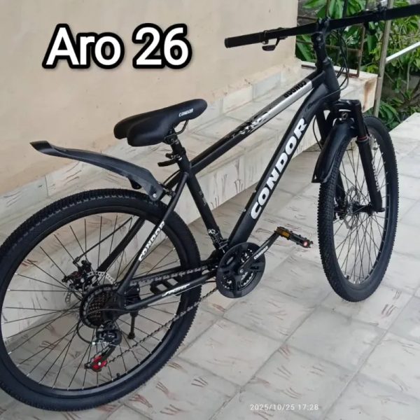 Bicicletas 