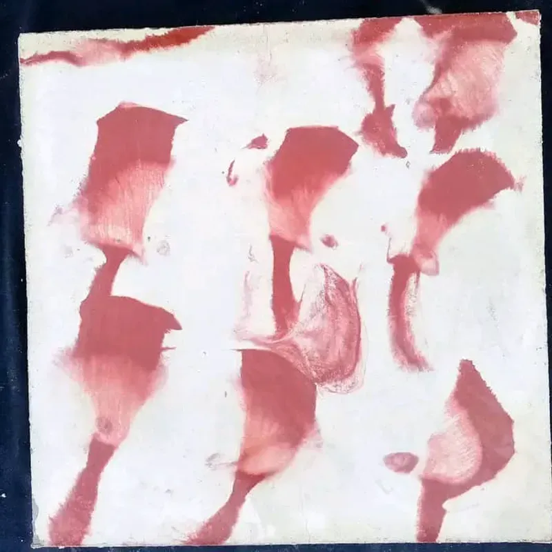 jaspe rojo fondo blanco