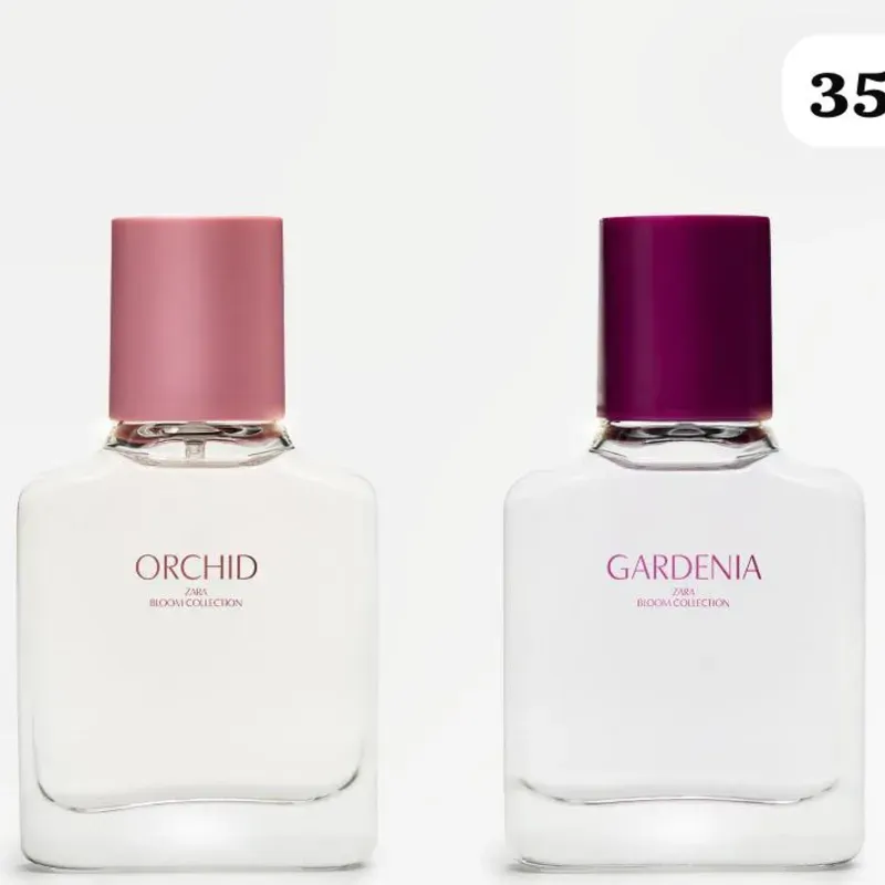  Bloom Collection – Fragancias que florecen con estilo y personalidad