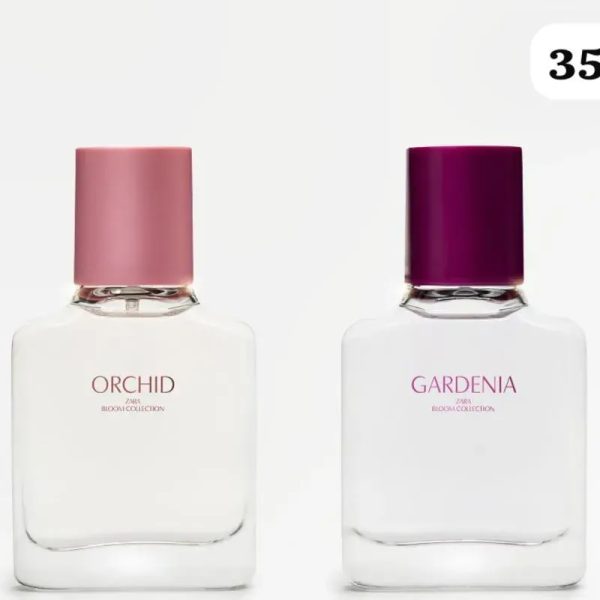  Bloom Collection – Fragancias que florecen con estilo y personalidad