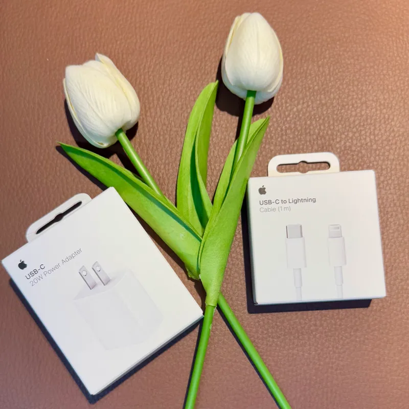 Cargador y cable original de Apple