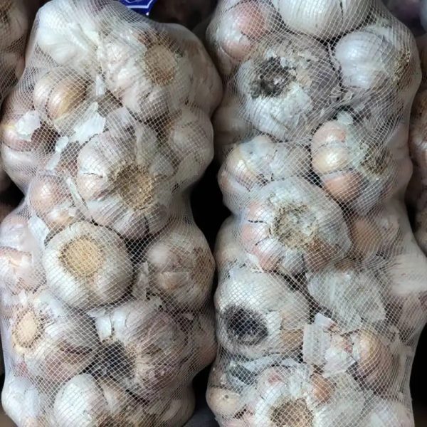 AJO POR BOLSAS