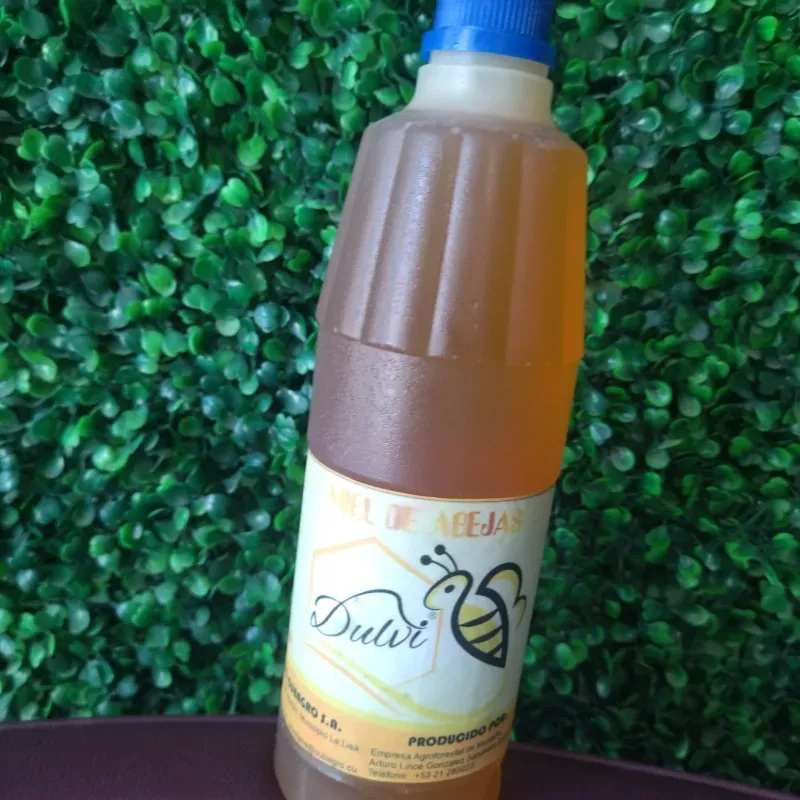 Miel de Abeja Dulvi Pomo de 1kg/ 1L
