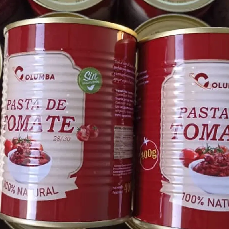 Pasta de tomate  400g