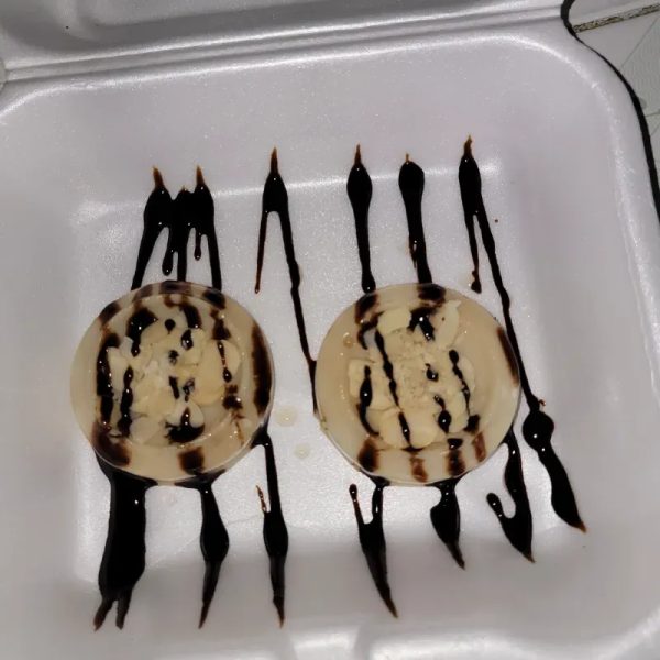 Natiflan bicolor