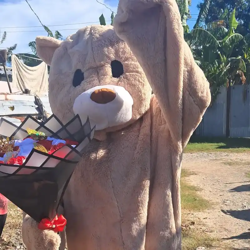 Disfraz de osito de peluche