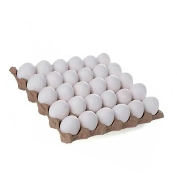 FILI D' HUEVOS