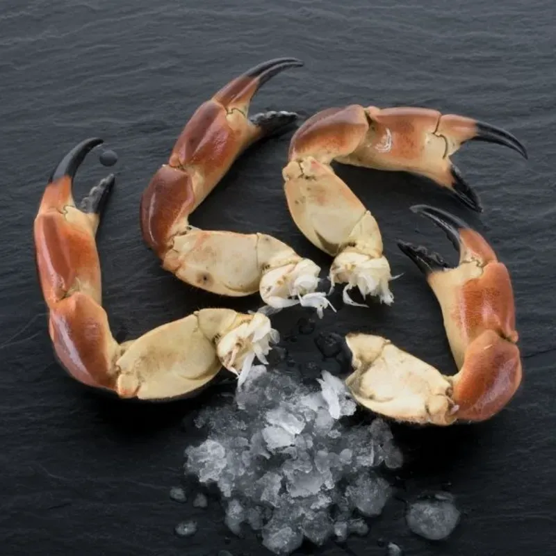 MUELAS DE BUEY C/5 KG 1001120 PRECIO 18.60