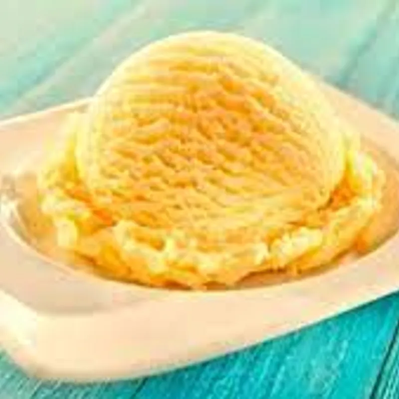 HELADO DE MANTECADO (10 Lt)
