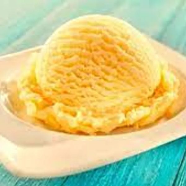 HELADO DE MANTECADO (10 Lt)