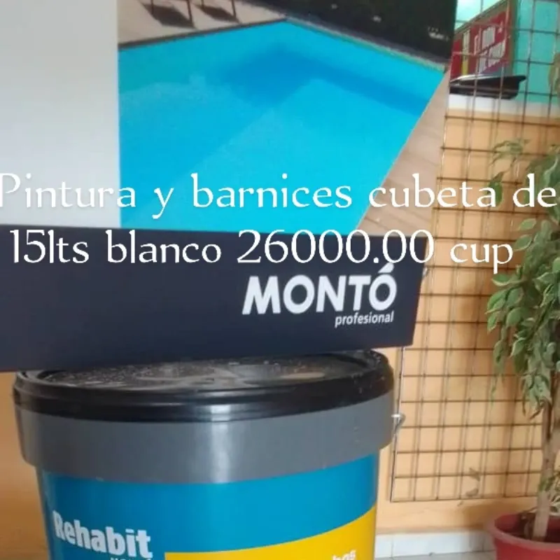 Pintura y Barnices Cubeta de 15 Lts Color Blanco. (Bazar Yamba O)
