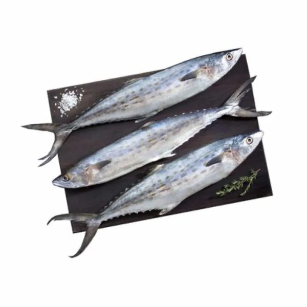 Pescado Sierra