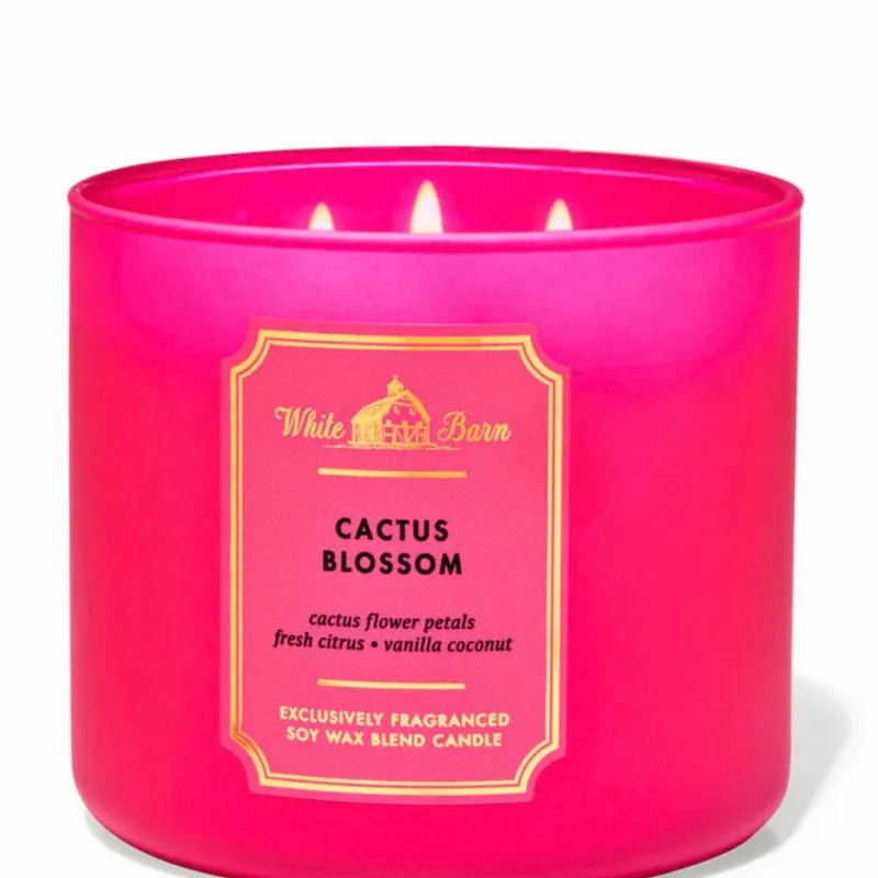 Vela aromática de 3 mechas de BBW