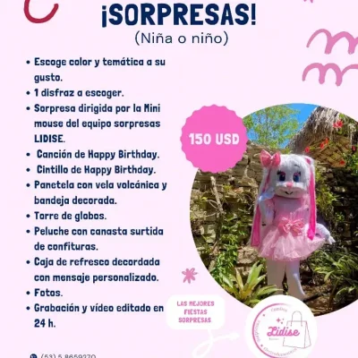 Sorpresa ⭐⭐ (Niño o Niña)
