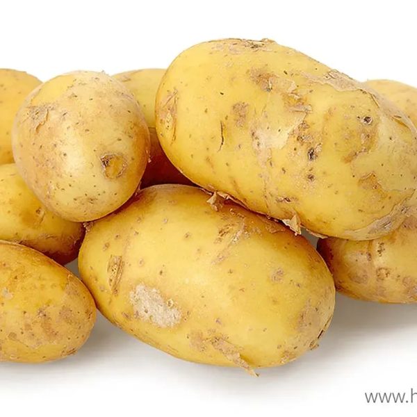 Papas